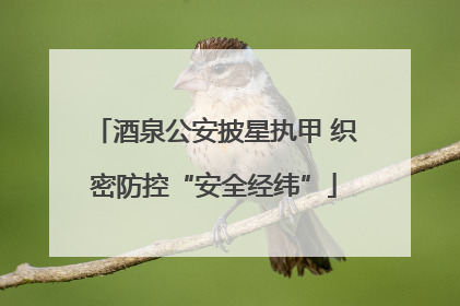 酒泉公安披星执甲 织密防控“安全经纬”