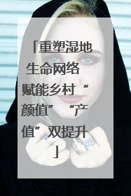 重塑湿地生命网络 赋能乡村“颜值”“产值”双提升