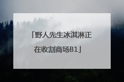 野人先生冰淇淋正在收割商场B1