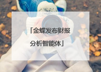 金蝶发布财报分析智能体