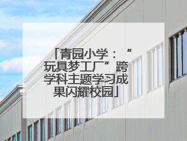 青园小学：“玩具梦工厂”跨学科主题学习成果闪耀校园