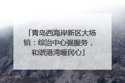 青岛西海岸新区大场镇：综治中心强服务，和谐港湾暖民心