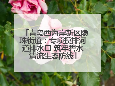 青岛西海岸新区隐珠街道：专项摸排河道排水口 筑牢碧水清流生态防线