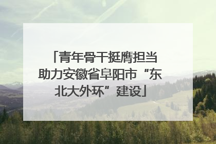 青年骨干挺膺担当 助力安徽省阜阳市“东北大外环”建设