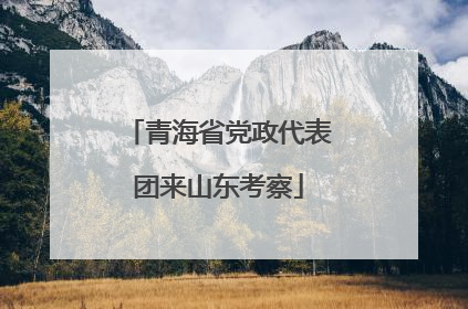 青海省党政代表团来山东考察