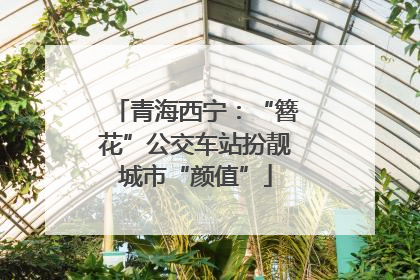 青海西宁：“簪花”公交车站扮靓城市“颜值”