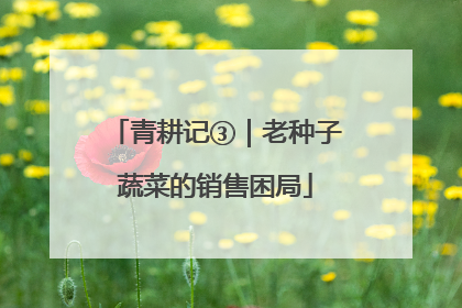 青耕记③｜老种子蔬菜的销售困局