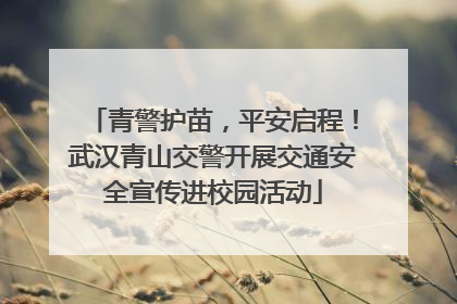 青警护苗，平安启程！武汉青山交警开展交通安全宣传进校园活动