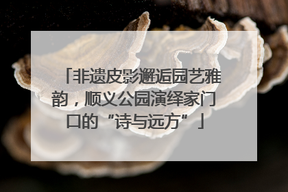 非遗皮影邂逅园艺雅韵，顺义公园演绎家门口的“诗与远方”