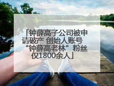 钟薛高子公司被申请破产 创始人账号“钟薛高老林”粉丝仅1800余人