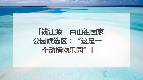 钱江源—百山祖国家公园候选区：“这是一个动植物乐园”