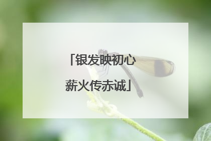 银发映初心 薪火传赤诚