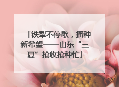 铁犁不停歇，播种新希望——山东“三夏”抢收抢种忙