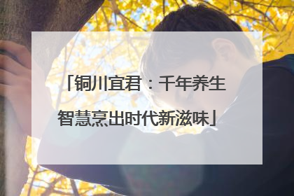 铜川宜君：千年养生智慧烹出时代新滋味