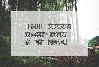 铜川：文艺文明双向奔赴 德润万家“铜”树新风