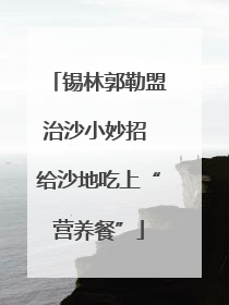 锡林郭勒盟治沙小妙招 给沙地吃上“营养餐”