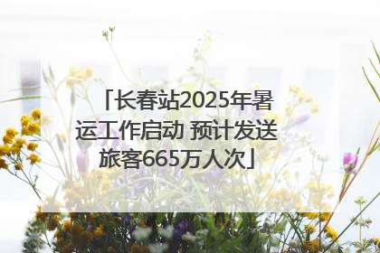 长春站2025年暑运工作启动 预计发送旅客665万人次