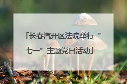 长春汽开区法院举行“七一”主题党日活动