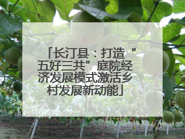 长汀县：打造“五好三共”庭院经济发展模式激活乡村发展新动能