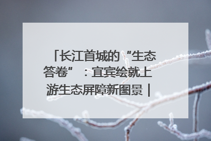长江首城的“生态答卷”：宜宾绘就上游生态屏障新图景｜中华环保世纪行