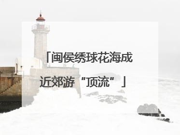 闽侯绣球花海成近郊游“顶流”