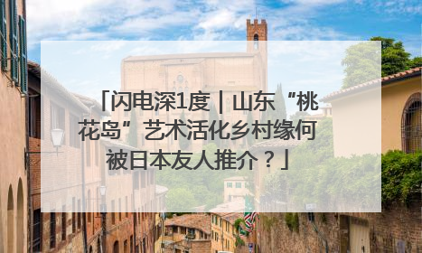 闪电深1度｜山东“桃花岛”艺术活化乡村缘何被日本友人推介？