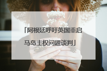阿根廷呼吁英国重启马岛主权问题谈判