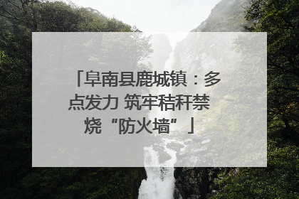 阜南县鹿城镇：多点发力 筑牢秸秆禁烧“防火墙”