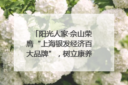 阳光人家·佘山荣膺“上海银发经济百大品牌”，树立康养行业新标杆