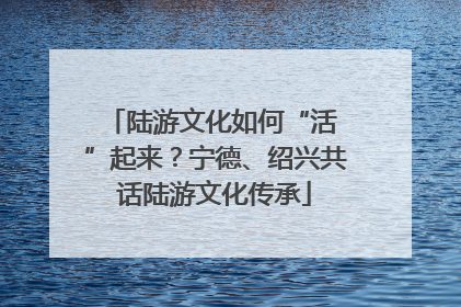 陆游文化如何“活 ”起来？宁德、绍兴共话陆游文化传承