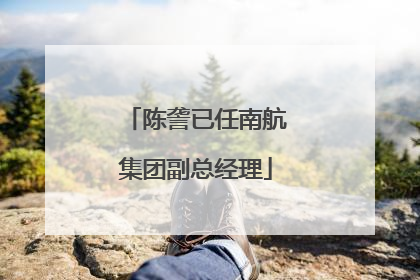 陈詟已任南航集团副总经理