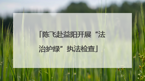 陈飞赴益阳开展“法治护绿”执法检查