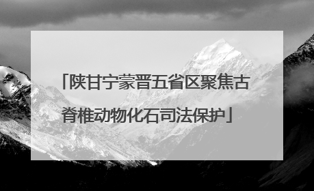 陕甘宁蒙晋五省区聚焦古脊椎动物化石司法保护