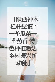 陕西神木栏杆堡镇：一垄瓜苗一垄药香 特色种植激活乡村振兴新动能