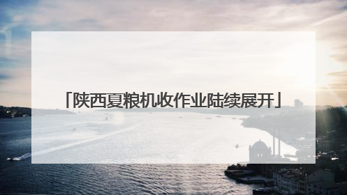 陕西夏粮机收作业陆续展开