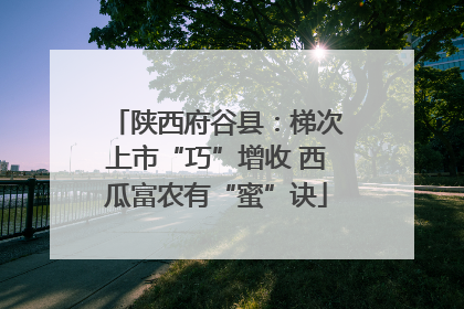 陕西府谷县：梯次上市“巧”增收 西瓜富农有“蜜”诀