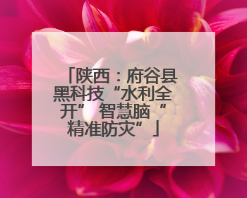 陕西：府谷县黑科技“水利全开” 智慧脑“精准防灾”