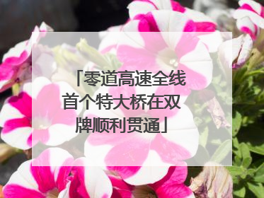 零道高速全线首个特大桥在双牌顺利贯通