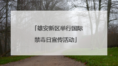 雄安新区举行国际禁毒日宣传活动