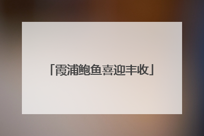 霞浦鲍鱼喜迎丰收