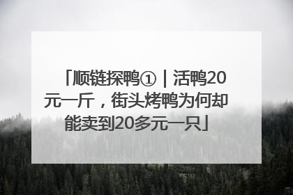 顺链探鸭①｜活鸭20元一斤，街头烤鸭为何却能卖到20多元一只
