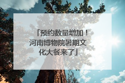 预约数量增加！河南博物院暑期文化大餐来了