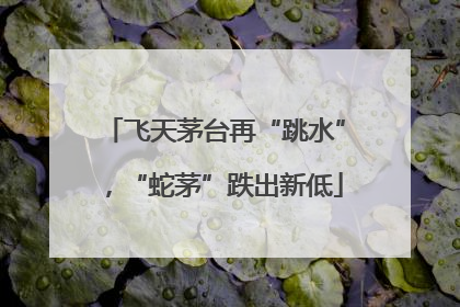 飞天茅台再“跳水”，“蛇茅”跌出新低