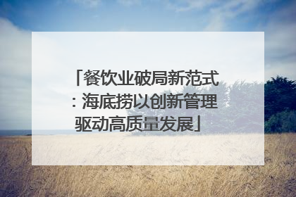 餐饮业破局新范式：海底捞以创新管理驱动高质量发展