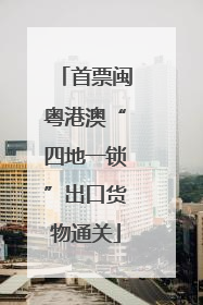 首票闽粤港澳“四地一锁”出口货物通关