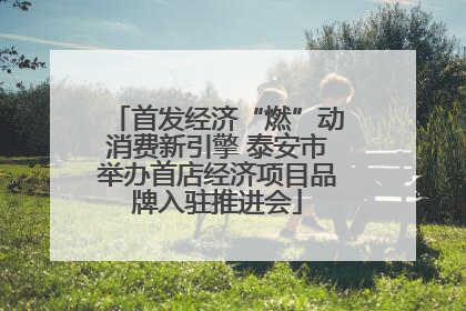 首发经济“燃”动消费新引擎 泰安市举办首店经济项目品牌入驻推进会