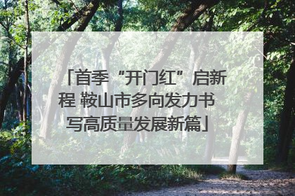 首季“开门红”启新程 鞍山市多向发力书写高质量发展新篇
