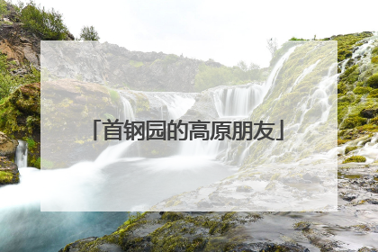 首钢园的高原朋友