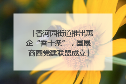 香河园街道推出惠企“香十条”，国展商圈党建联盟成立