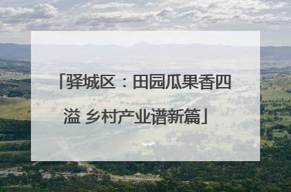 驿城区：田园瓜果香四溢 乡村产业谱新篇